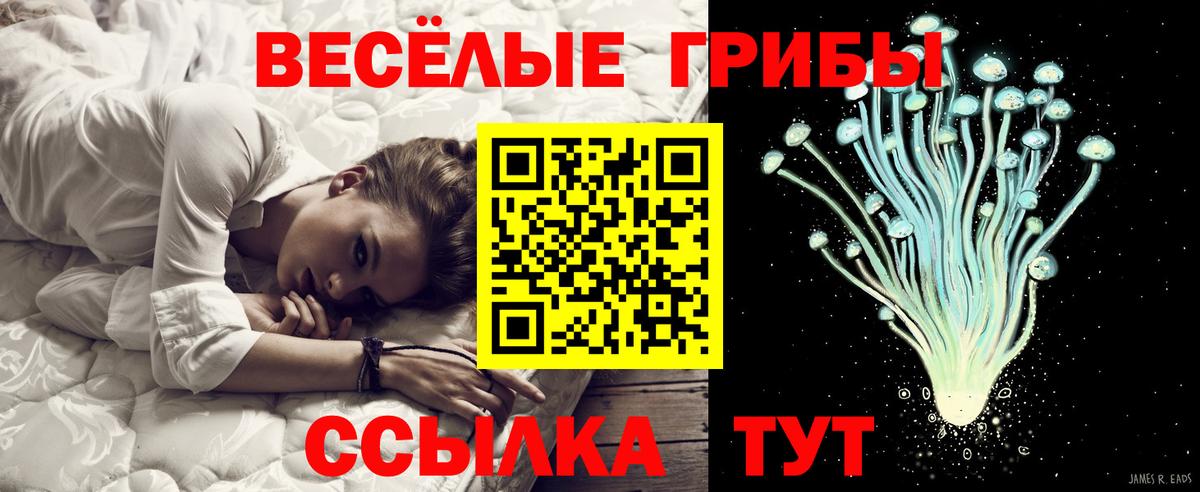 Галлюциногенные грибы мицелий  Вход с VPN  Анжеро-Судженск 